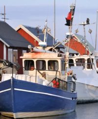 marina produkter