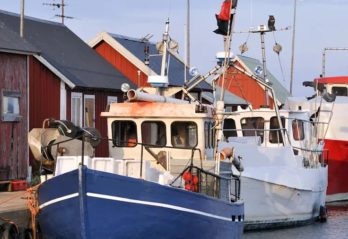 marina produkter