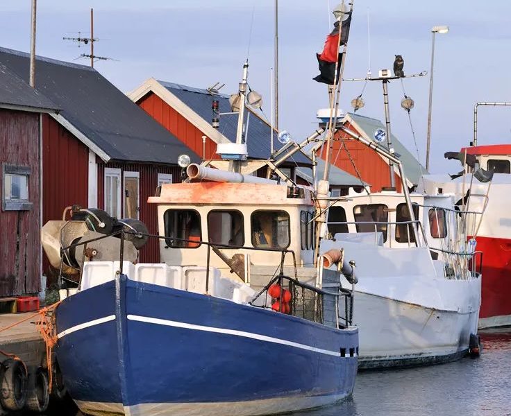 marina produkter